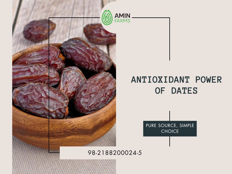 Antioxidant Power of Dates