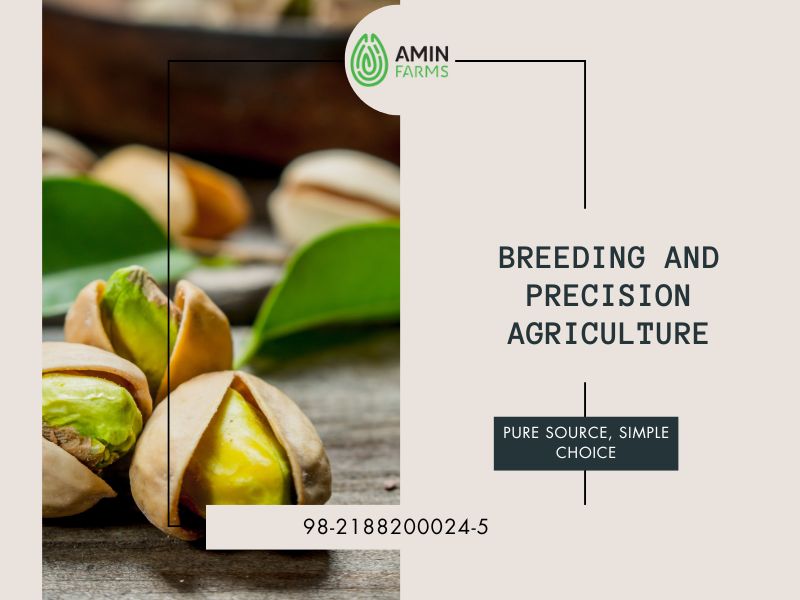 Breeding and Precision Agriculture in pistachio production