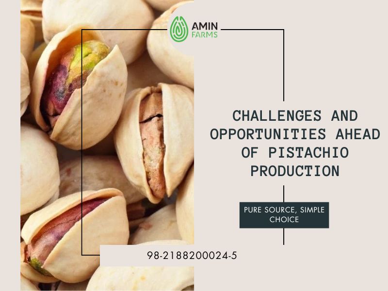 Challenges and Opportunities Ahead of pistachio production