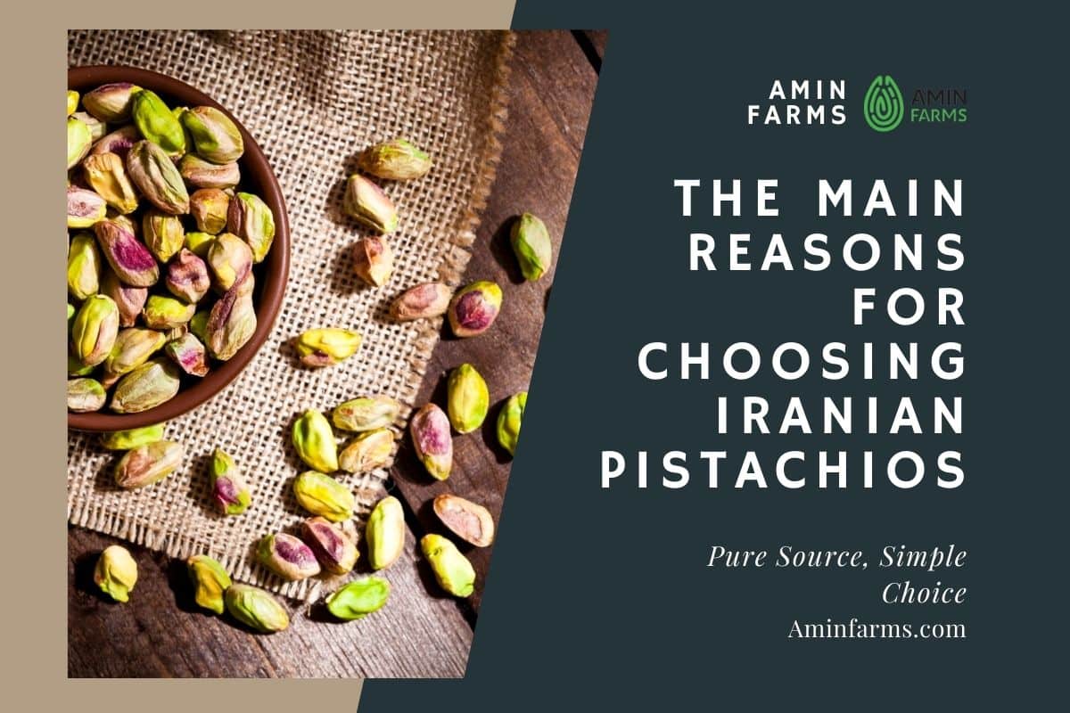 Choosing Iranian Pistachios