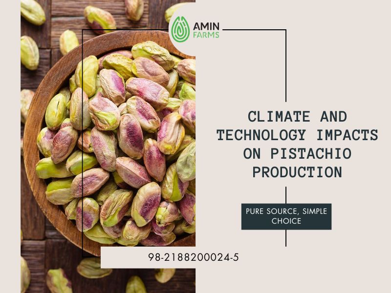 Climate and Technology Impacts on pistachio production