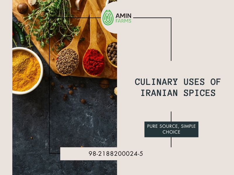 Culinary Uses of Iranian Spices