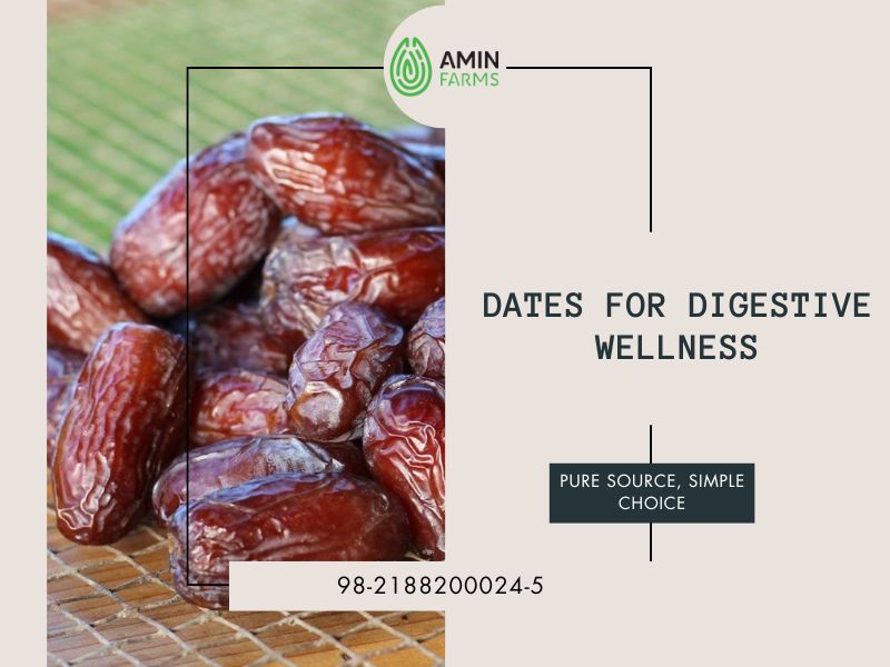 Dates for Digestive Wellness