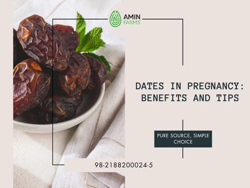 Dates in Pregnancy Benefits and Tips