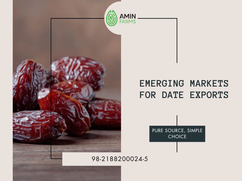 Emerging Markets for Date Exports