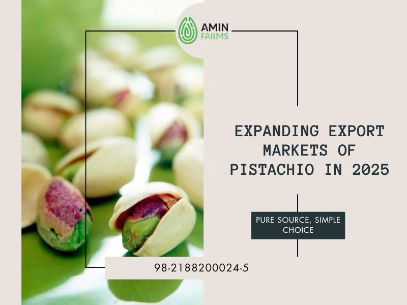 Expanding Export Markets in 2025