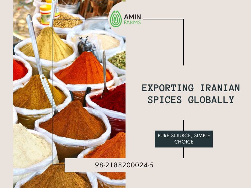 Exporting Iranian Spices Globally