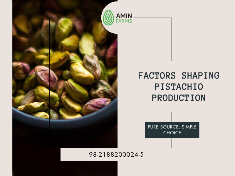 Factors Shaping Pistachio Production