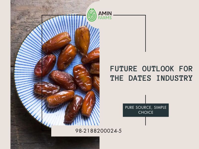 Future Outlook for the Dates Industry