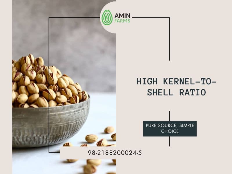 High Kernel-to-Shell Ratio