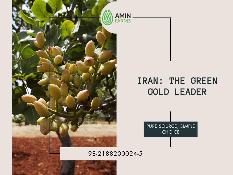 Iran The Green Gold Leader