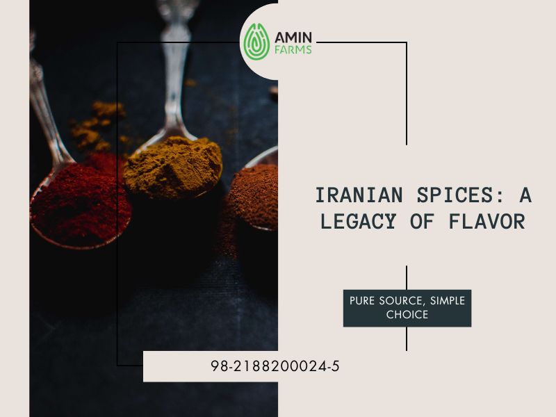 Iranian spices A Legacy of Flavor