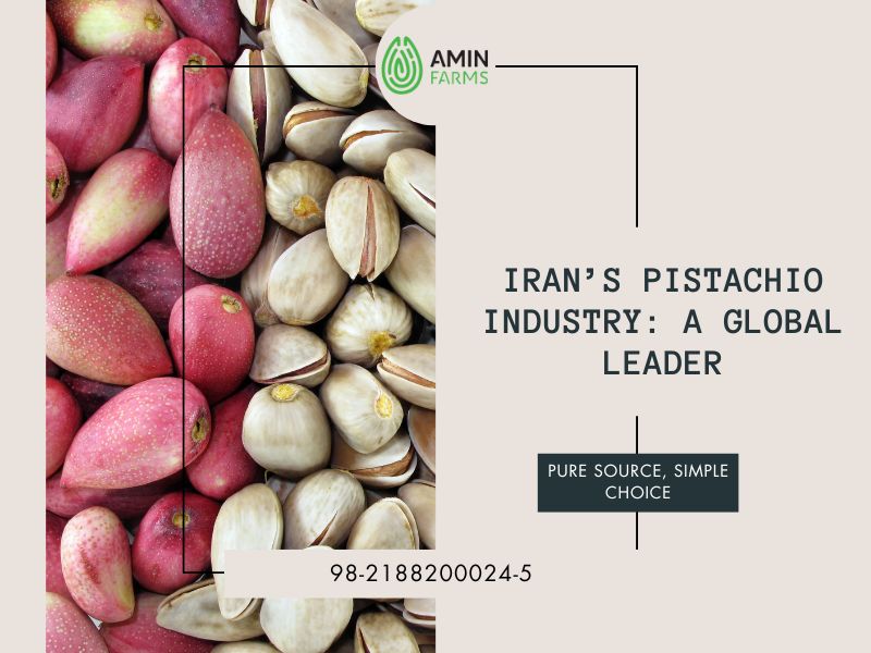 Iran’s Pistachio Industry A Global Leader
