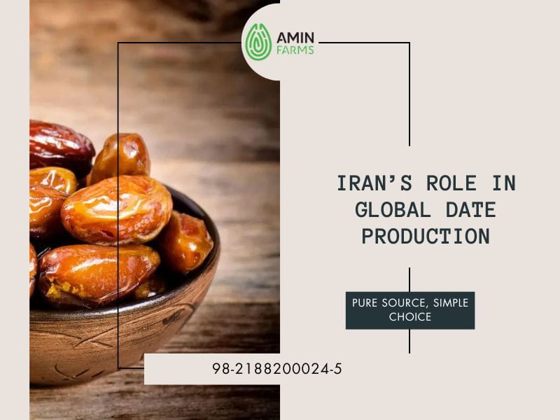 Iran’s Role in Global Date Production