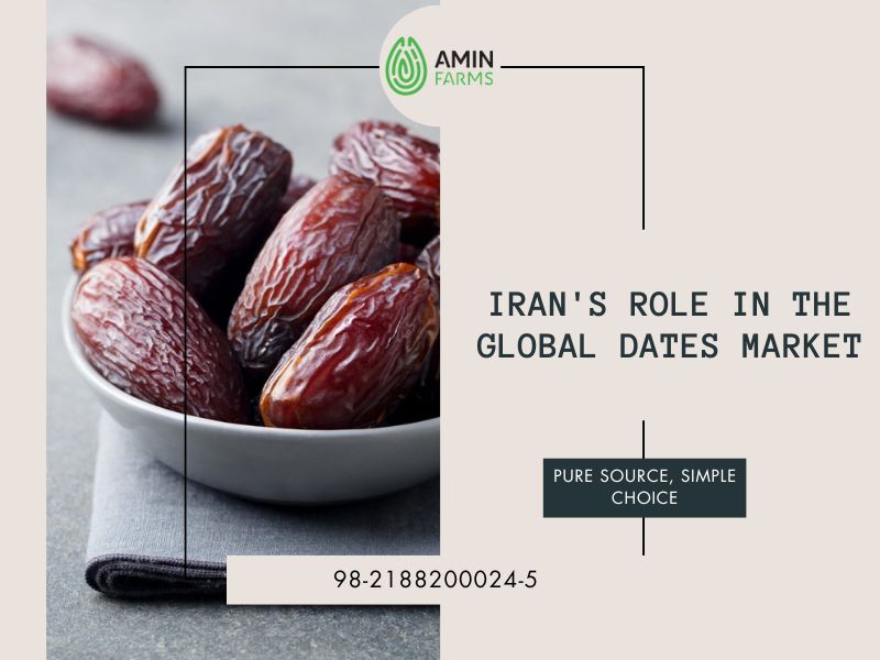 Iran's Role in the Global Dates Market