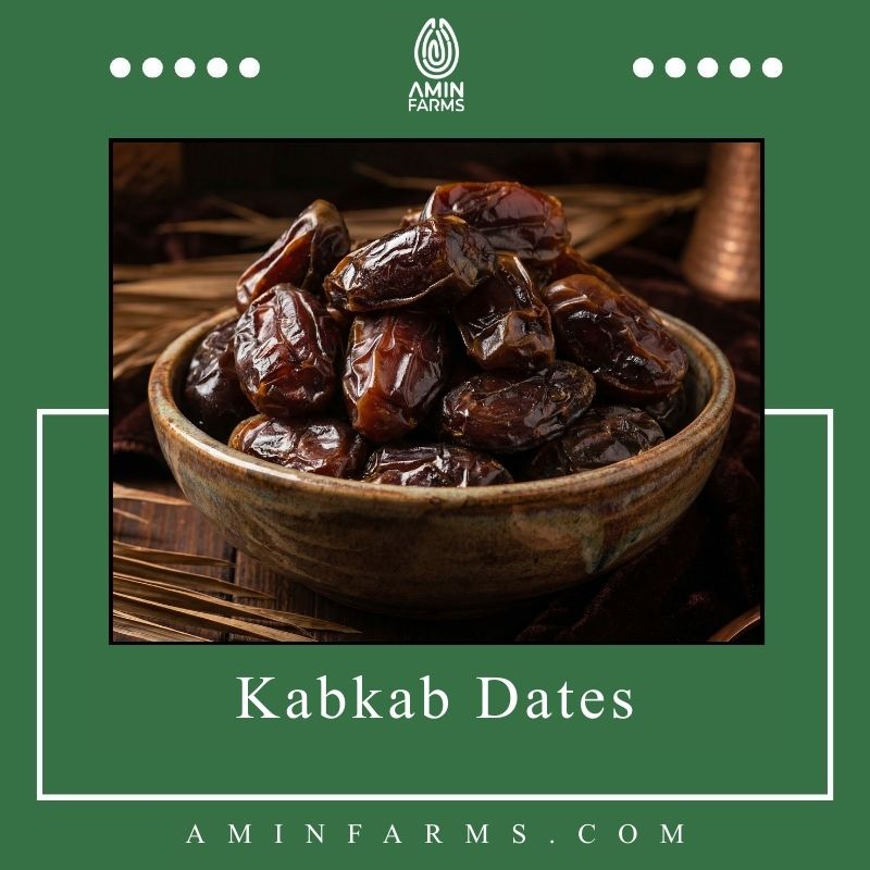 Kabkab Dates Kabkab Dates