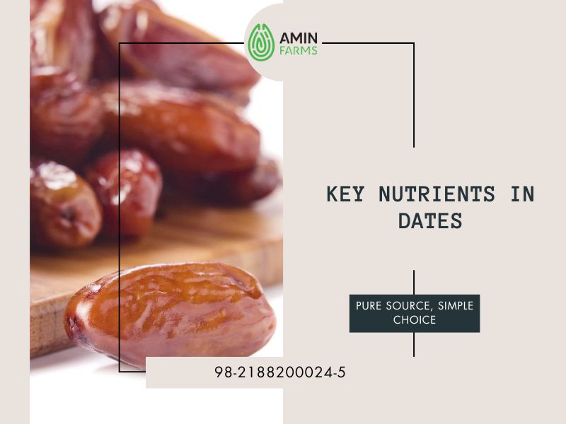 Key Nutrients in Dates