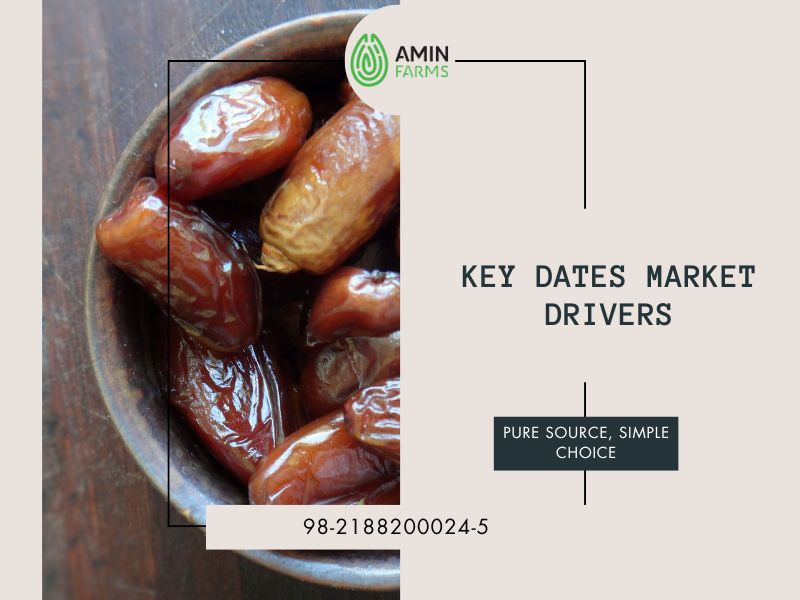 Key dates Market Drivers