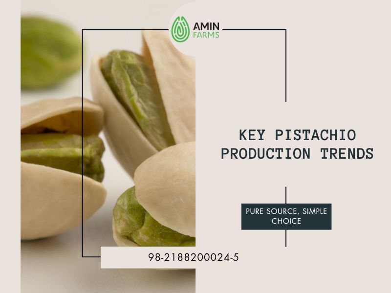 Key pistachio Production Trends