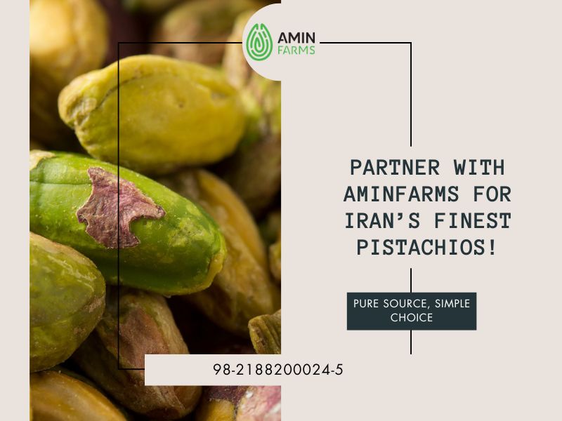 Partner with Us for Iran’s Finest Pistachios