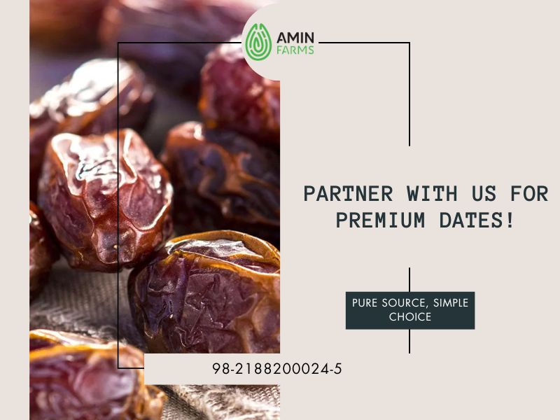 Partner with Us for Premium Dates