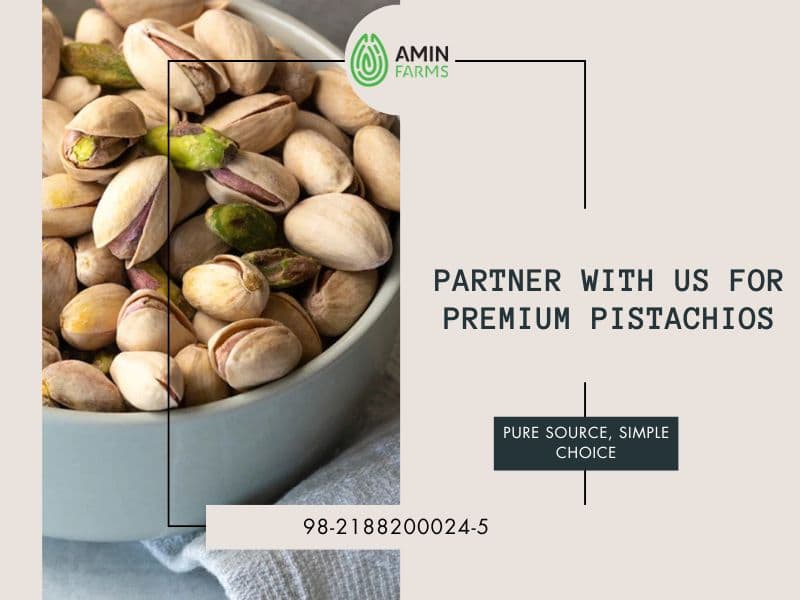 Partner with Us for Premium Pistachios