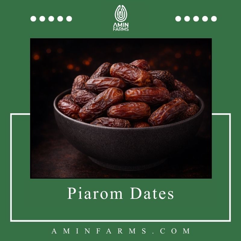 Piarom Dates Piarom Dates