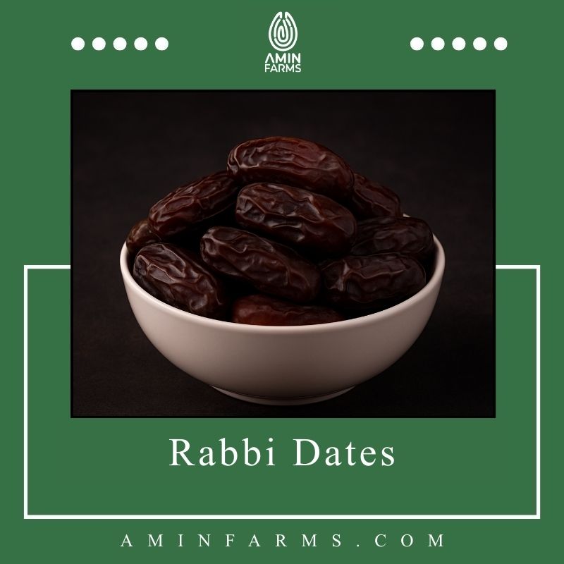 Rabbi Dates Rabbi Dates