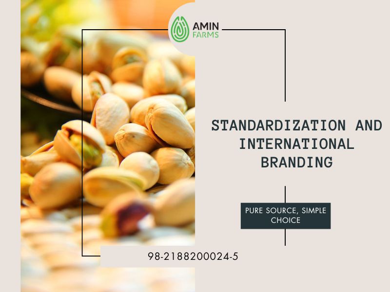 Standardization and international branding