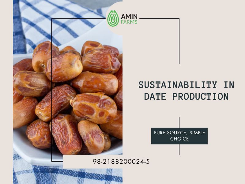 Sustainability in Date Production