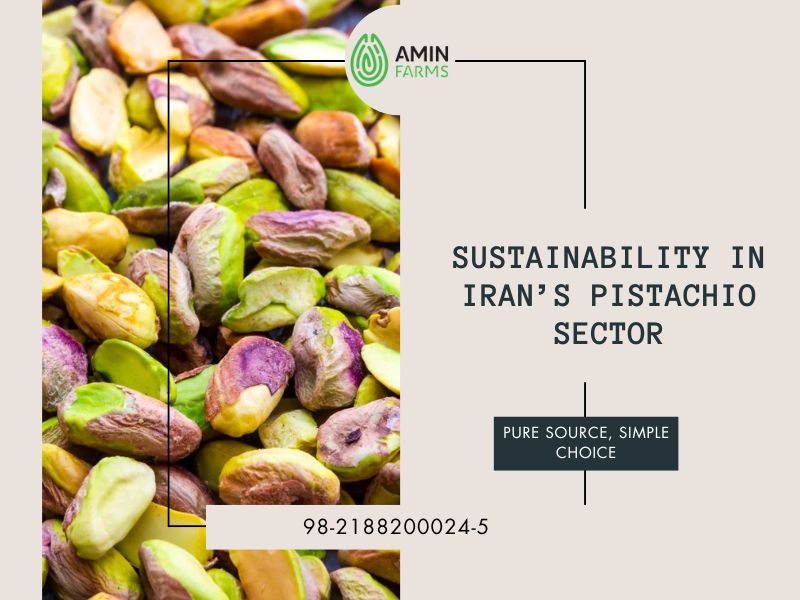 Sustainability in Iran’s Pistachio Sector