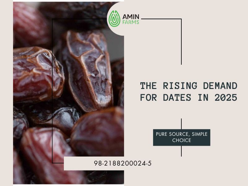 The Rising Demand for Dates in 2025