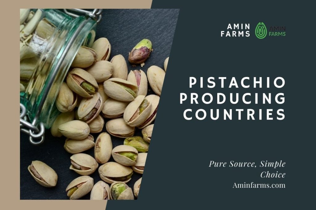 Top Pistachio Producing Countries