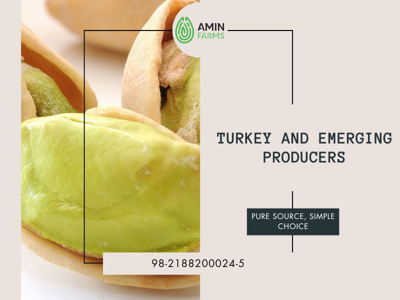 Turkey and Emerging Producers