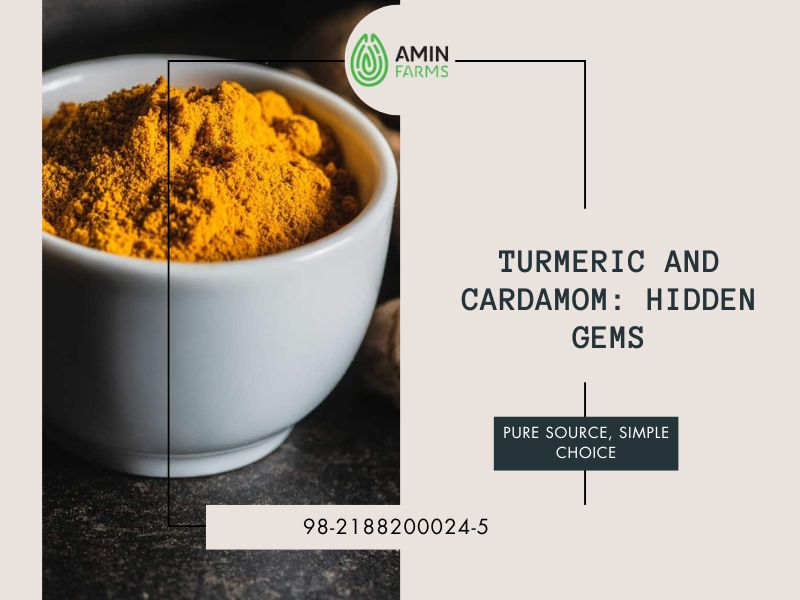 Turmeric and Cardamom Hidden Gems