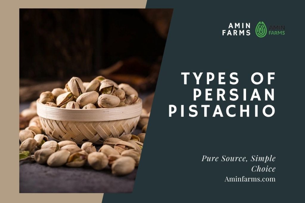 Types of Persian Pistachios