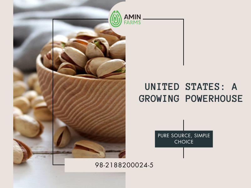 United States A Growing Powerhouse