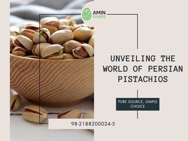 Unveiling the World of Persian Pistachios