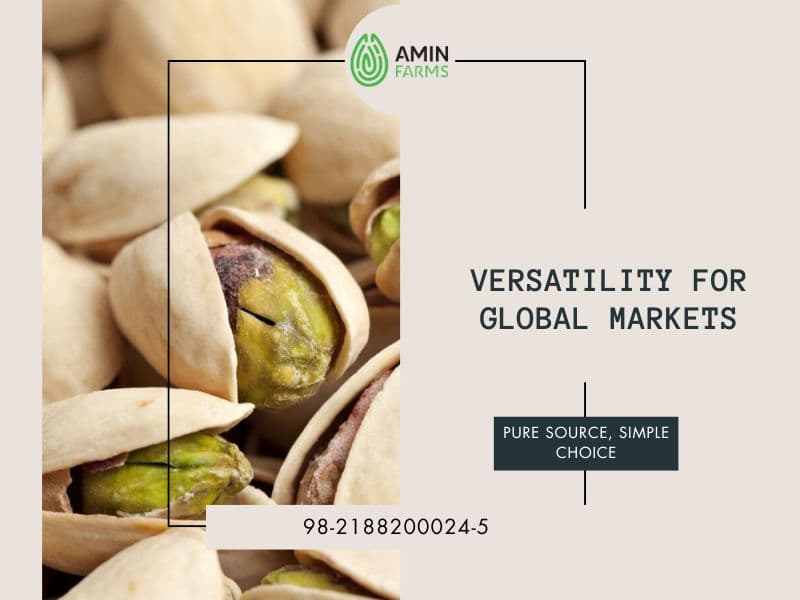 Versatility for Global Markets