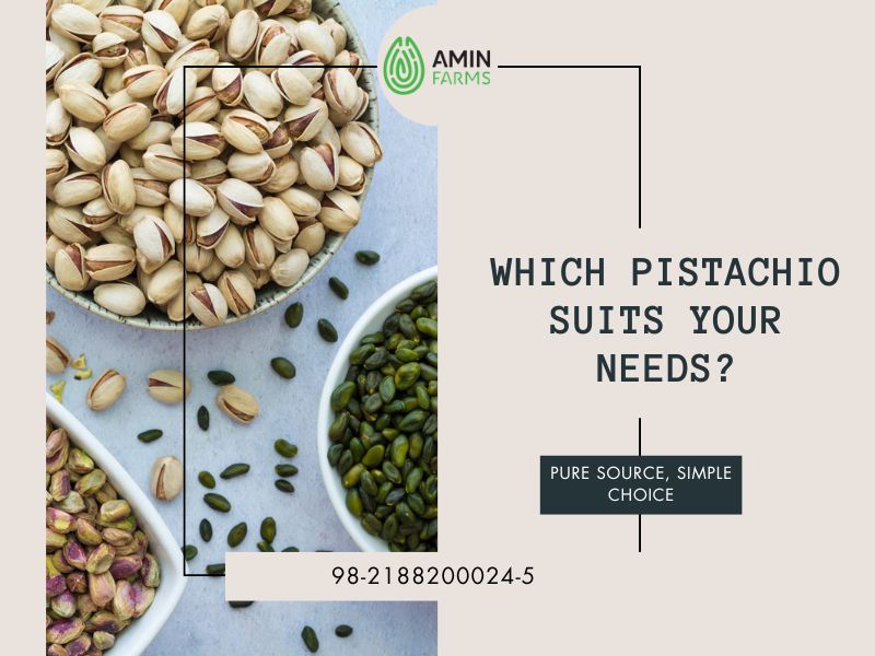 Which Pistachio Suits Your Needs