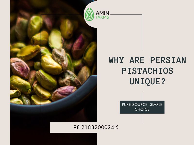 Why Are Persian Pistachios Unique