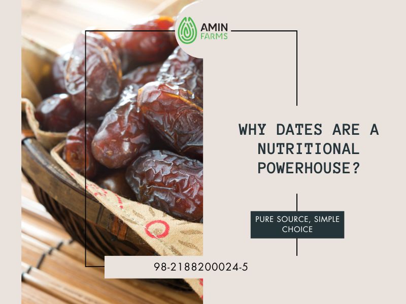 Why Dates Are a Nutritional Powerhouse