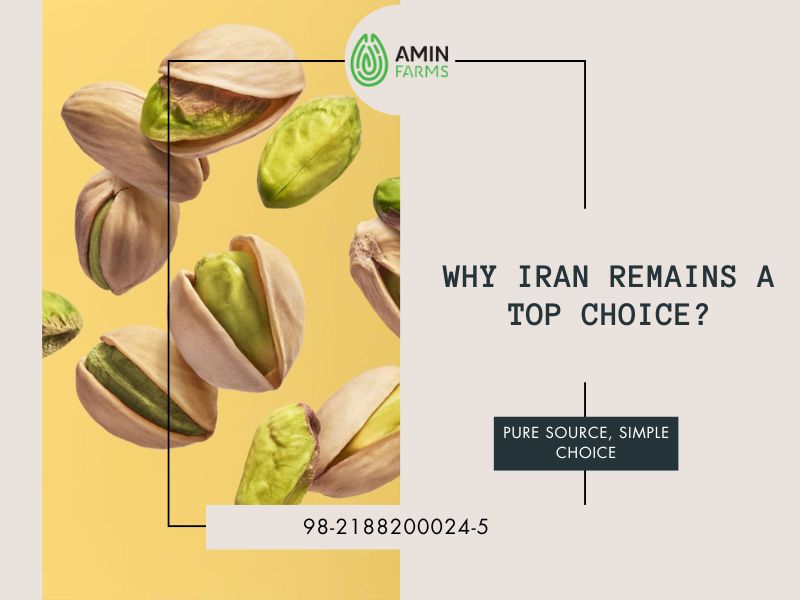 Why Iran Remains a Top Choice