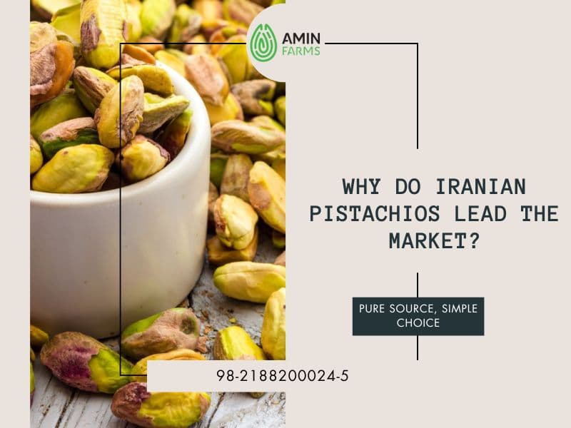 Why do Iranian Pistachios Lead the Market