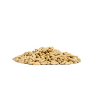 Arabica Coffee