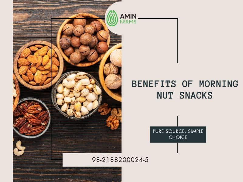 Benefits of Morning Nut Snacks