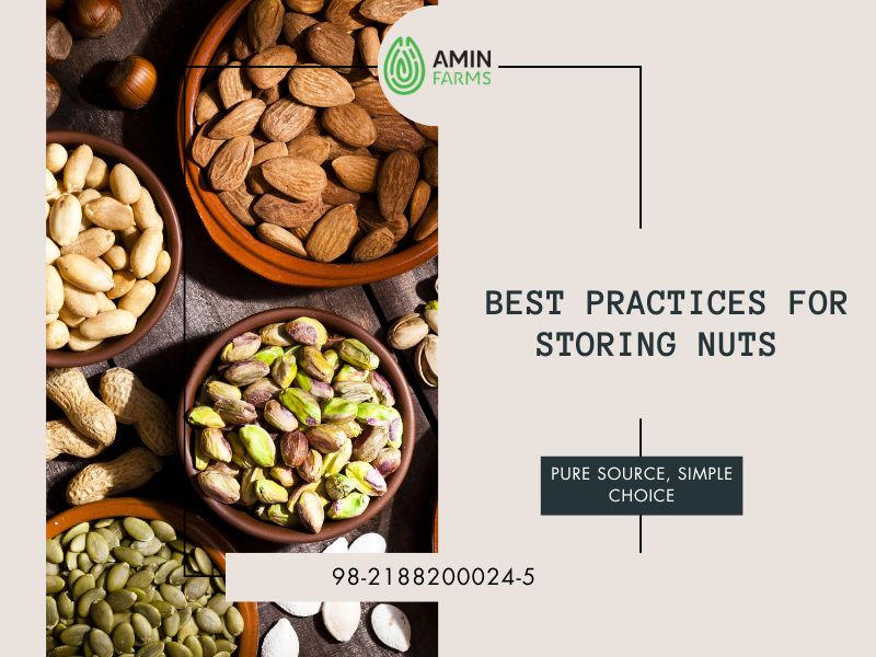 Best Practices for Storing Nuts