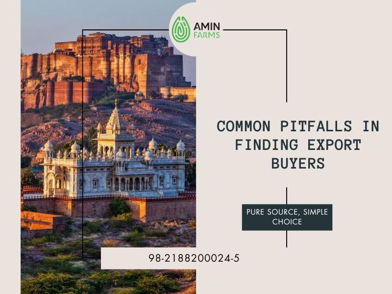 Common Pitfalls in Finding Export Buyers