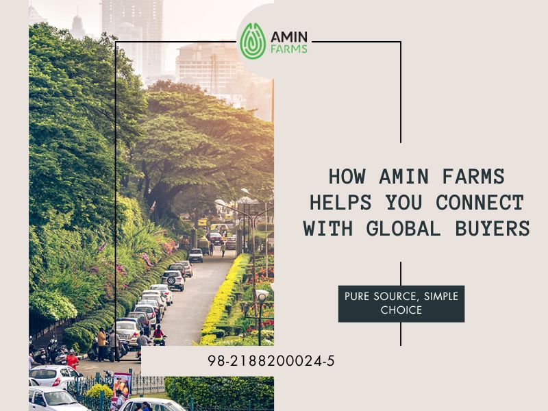 How Amin Farms Helps You Connect with Global Buyers
