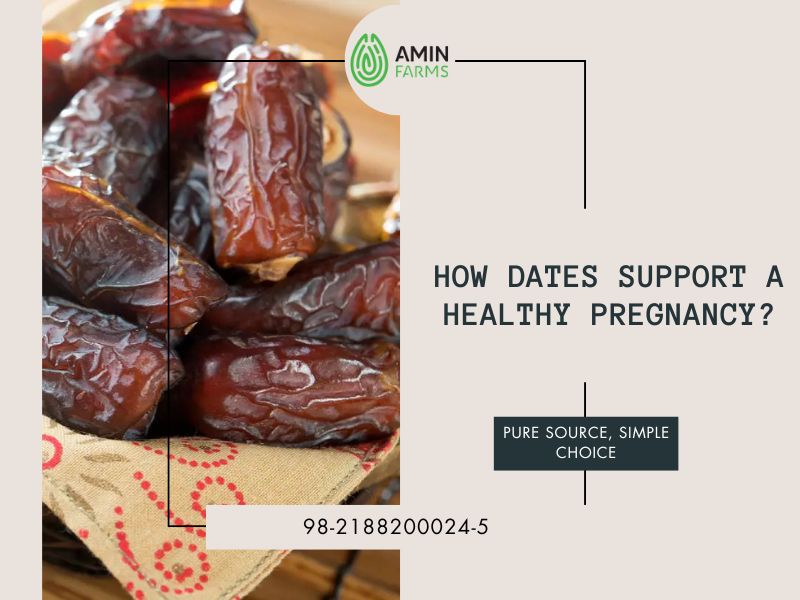 How Dates Support a Healthy Pregnancy